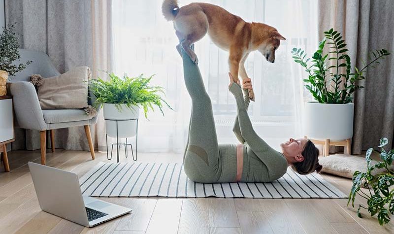 potted-plants-pregnancy-furry-friends-morning-yoga-using-laptop-dog-training-perfect-pets_t20_JJL769